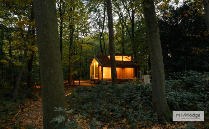 Wooden tiny house immersed in natural surroundings