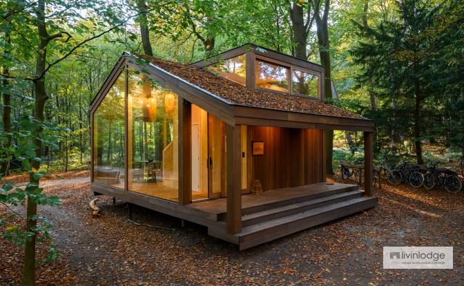 Wooden tiny house immersed in natural surroundings