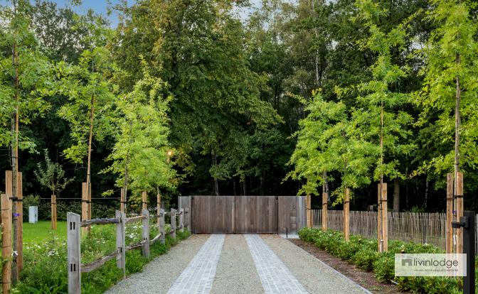 Wooden swing gate in oak