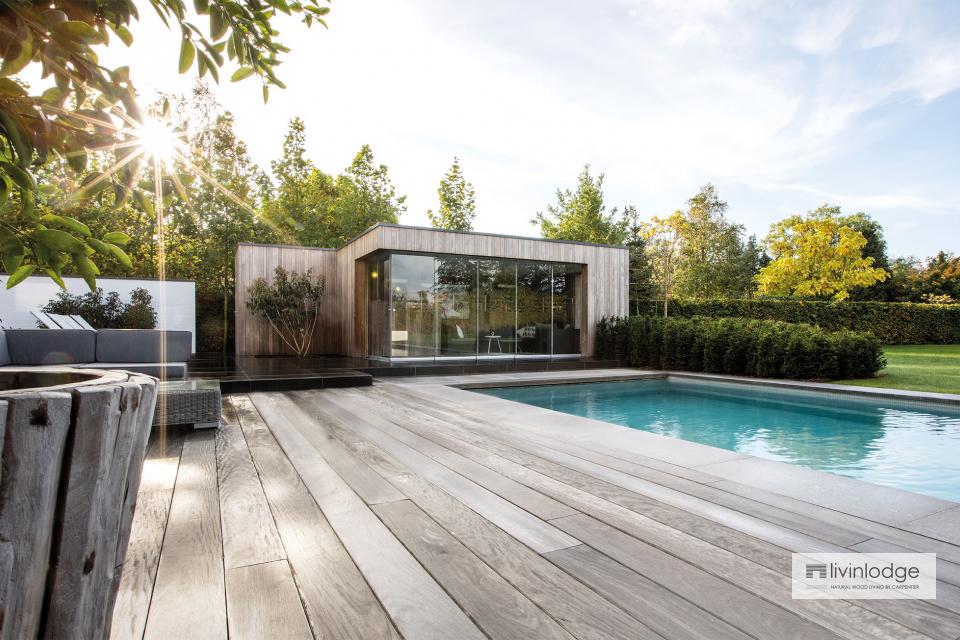 Modern pool house in HOTwood ash, Zwijnaarde